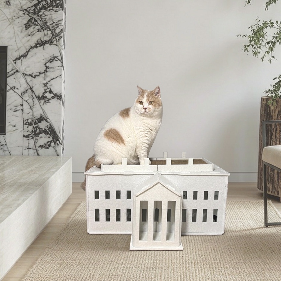 white house-shaped cat house